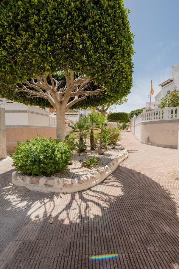 Apartament "Parque Mar" La Mata  Bagian luar foto